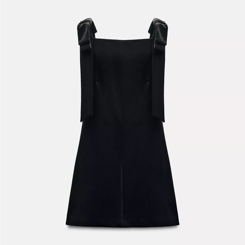 Zara Velvet Bows Dress
